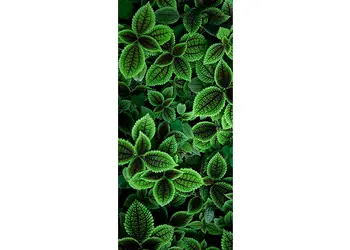 autocolant usa urzici 1