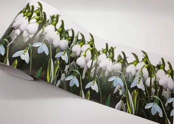 bordura autoadeziva ghiocei