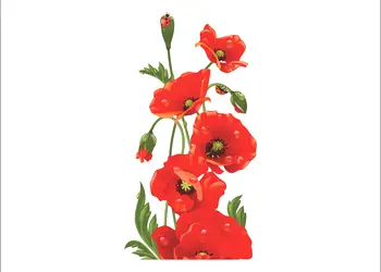 sticker floare de mac rosu