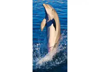 folie cabina dus folina model delfin 100 210 cm