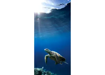 folie cabina dus folina model testoasa autoadeziva 100 210 cm