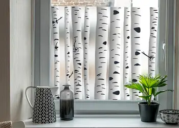 folie de geam autoadeziva sablare model mesteacan padure de mesteceni s00