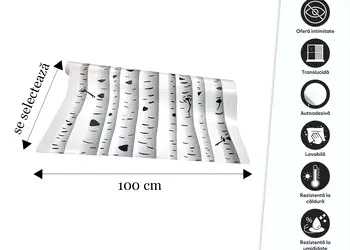 folie de geam autoadeziva sablare model mesteacan padure de mesteceni s00