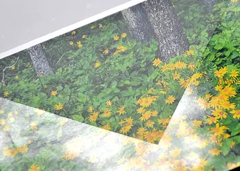 folie de laminare mata in rola 1