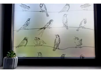 folie geam autoadeziva birdy