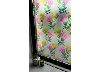 folie geam autoadeziva danielle 1