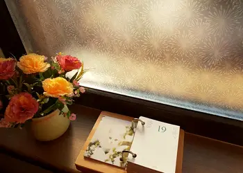 folie geam autoadeziva elya folina