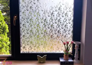 folie geam autoadeziva folina sablare cu crengute translucide