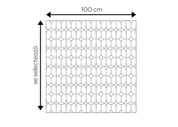 folie geam autoadeziva folina sablare cu model eclectic s00