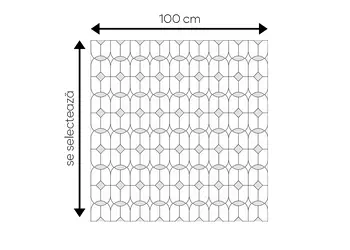 folie geam autoadeziva folina sablare cu model eclectic s00