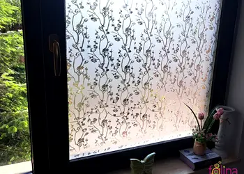 folie geam autoadeziva folina sablare cu crengute translucide