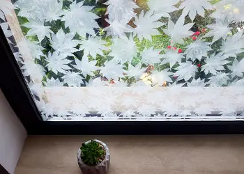 folie geam decorativa frunze albe