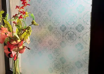 folie geam autoadeziva janice