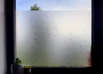 folie geam autoadeziva kimberlin 1