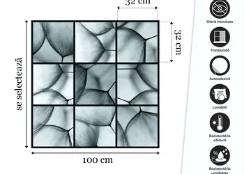 folie geam autoadeziva model chenare cu papadie sablare bordura la metru s00