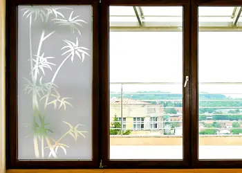 folie geam autoadeziva oasis 100 210 cm