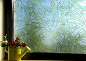 folie geam autoadeziva olives 1