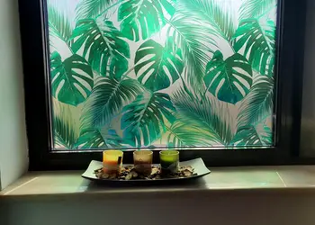 folie geam autoadeziva palmas