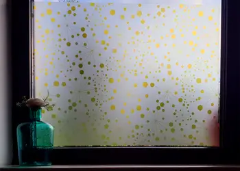 folie geam autoadeziva polly 1