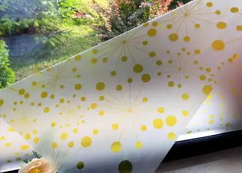 folie geam autoadeziva polly 1