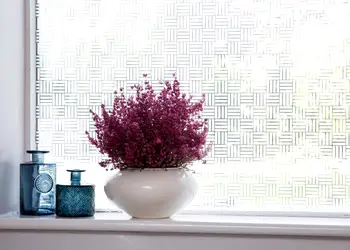 folie geam cu dungi albe arlo