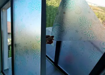 Corali si testoase Dus simulare