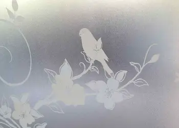 folie geam autoadeziva pasare