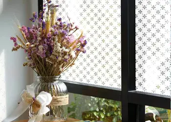 folie geam electrostatica Ally