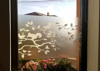 folie geam electrostatica pineview