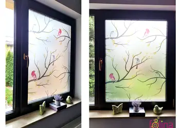 folie geam autoadeziva buzunie