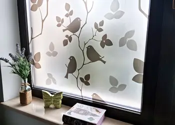 folie geam pasari gri