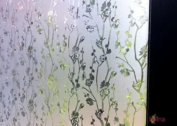 folie geam autoadeziva folina sablare cu crengute translucide