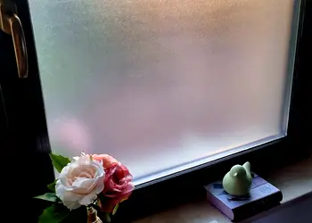 folie geam sablat frozen folina