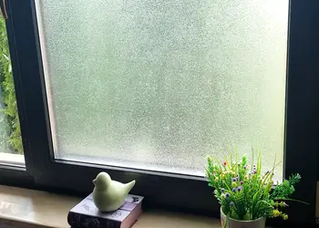 folie geam sablat kointec wd19