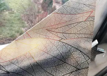 folie geam autoadeziva folina frunze aramii 100 cm latime