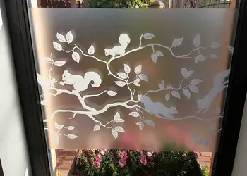 folie geam electrostatica pineview