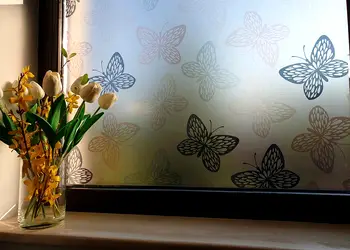 folie geam autoadeziva fluturi mili