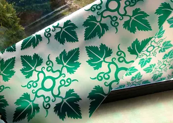 folie geam autoadeziva zora