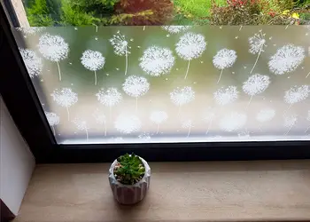 folie geam sa nu se vada in casa