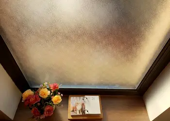 folie geam autoadeziva elya folina