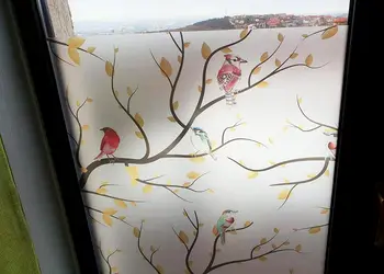 folie geam autoadeziva buzunie