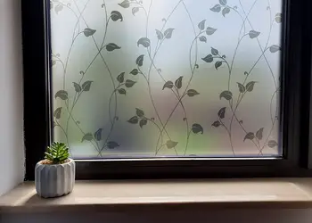 folie geam autoadeziva maia