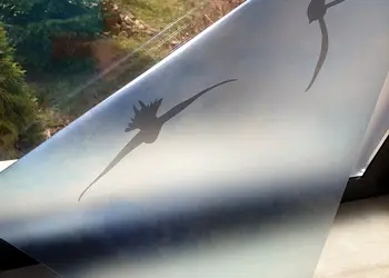 folie geam autoadeziva pasari in zbor