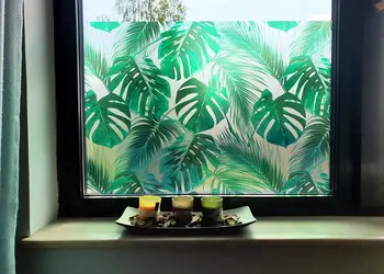 folie geam autoadeziva palmas