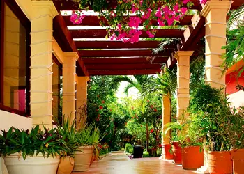 fototapet 3d garden terrace