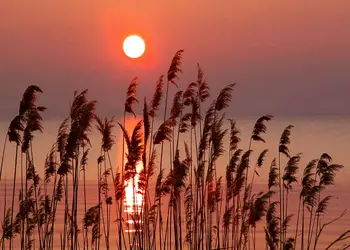 fototapet peisaj la apus de soare