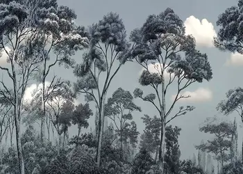 tapet baie rezistent la apa forest and sky