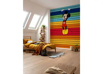 fototapet camera copii Mickey Mouse komar multicolor