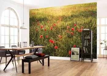 fototapet camp cu maci komar 450 280 cm