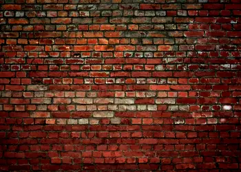 fototapet brick wall dimex imitatie caramida rosiatica 375 250 cm